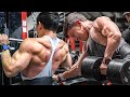 4 EXERCISE BACK WORKOUT FOR MASS! || Tristyn Lee Trains Back