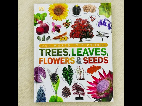 Our World In Pictures: Trees, Leaves, Flowers & Seeds by DK