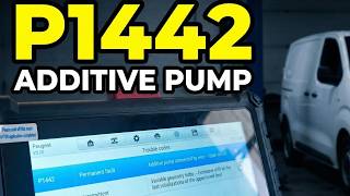 Peugeot Expert DPF Additive Pump P1442 Fault Code Fixed