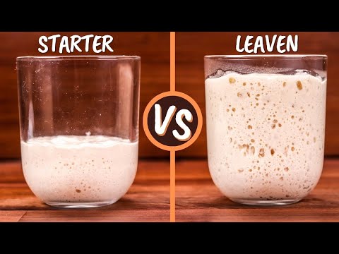 Sourdough Starter and Leaven Explained | Are They The Same Thing?