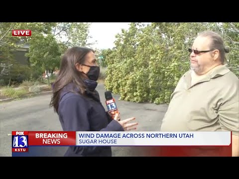 Windstorm brings down countless trees around northern Utah