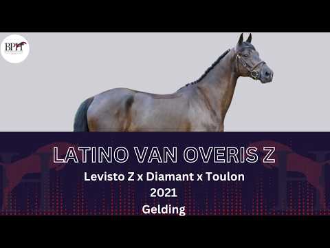 Latino van Overis Z