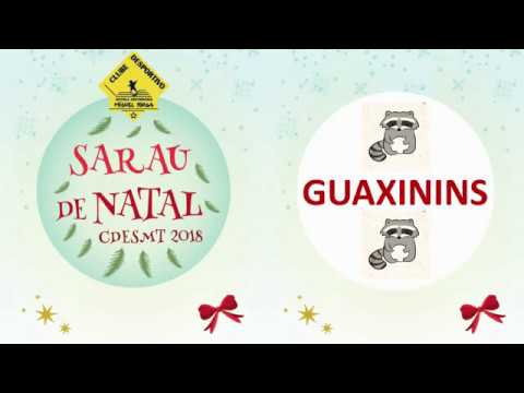 CDESMT - Sarau de Natal 2018 - Guaxinins
