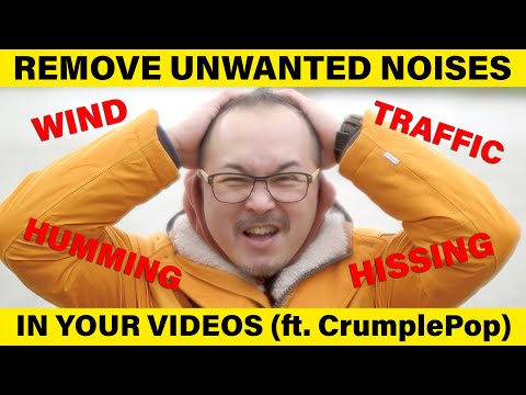 4 TIPS to remove ANY UNWANTED noises in your audio with CrumplePop AI Audio Suite - RED35 Review