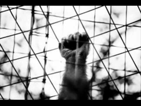 Hugoboy - What You Fight,You Become