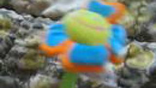 Flori - All Night Long