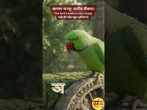 व्यञ्जनानि (स्पर्शवर्णाः) | Consonants | व्यंजन (स्पर्श वर्ण) #sanskritkalp | #learnsanskrit
