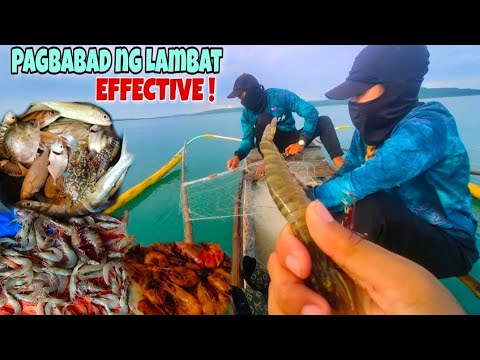 Pagbatak Ng Lambat Na Ibinabad ( May Hipon Agad ) Mixed Seafoods | Catch n' Cook | IMPERANZA
