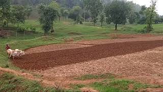 preview picture of video 'Bhagadari jungle chhuhiya district Sidhi Madhya Pradesh'