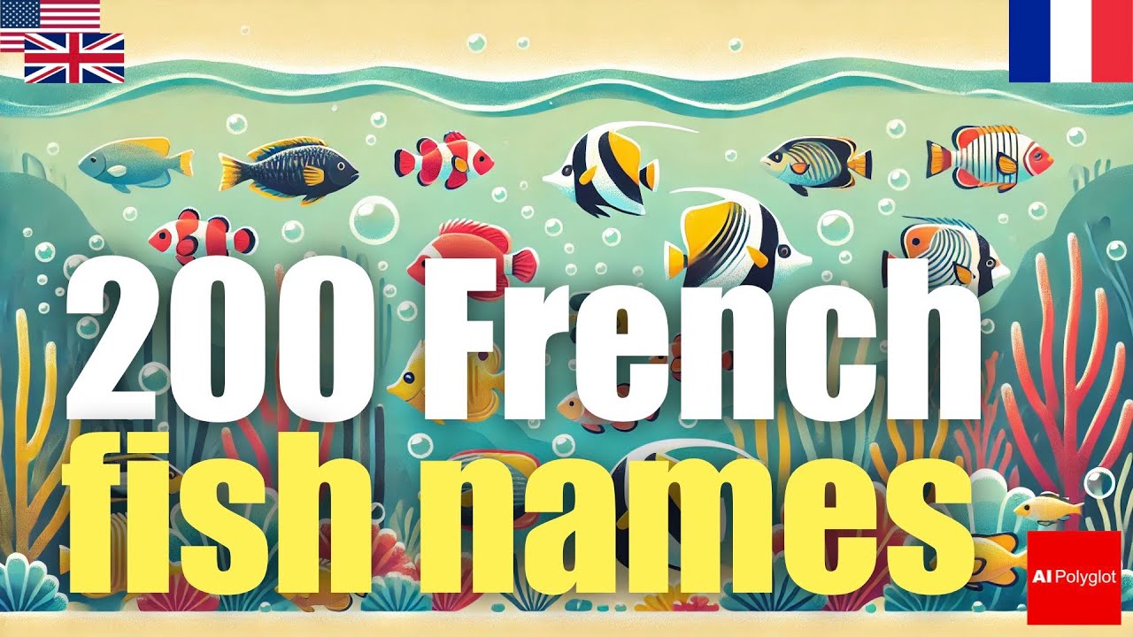 200 French fish names | Passive listening | with hiragana episode artwork