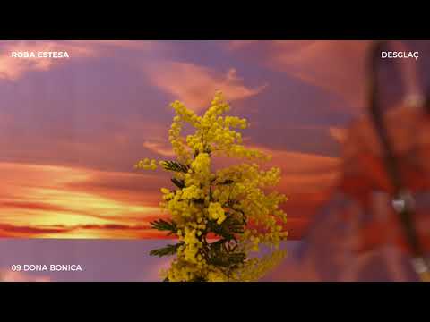 Roba Estesa - 09 Dona Bonica (DESGLAÇ)