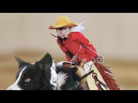 Monkey Island, Nha Trang - Vietnam 🇻🇳