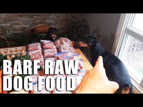 RAW Dog Food Diet, BARF for Dogs | VLOG | Biologically Appropriate Video