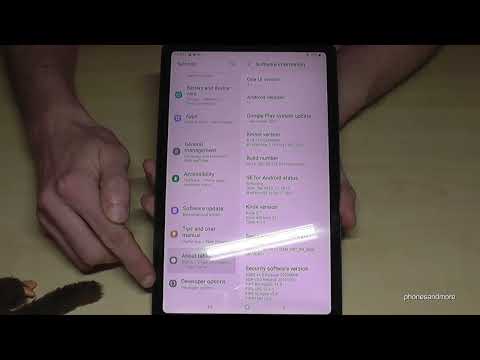 Samsung Galaxy Tab A7 (Lite): How to enable the Developer Options? for USB Debugging etc.
