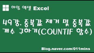 (하임 엑셀 49강) 중복값(데이터) 제거 및 중복(데이터) 개수 구하기 - COUNTIF 함수