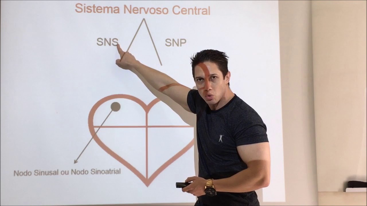 Função do Coração e mecanismos de controle da Frequência Cardíaca