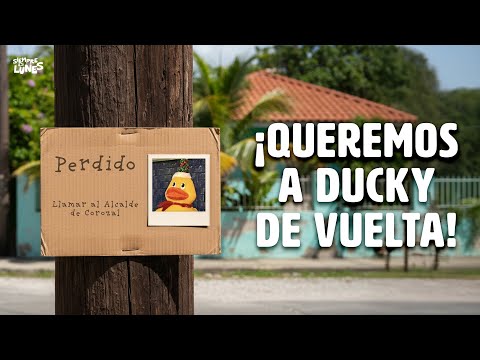 ¡Queremos a Ducky de vuelta!