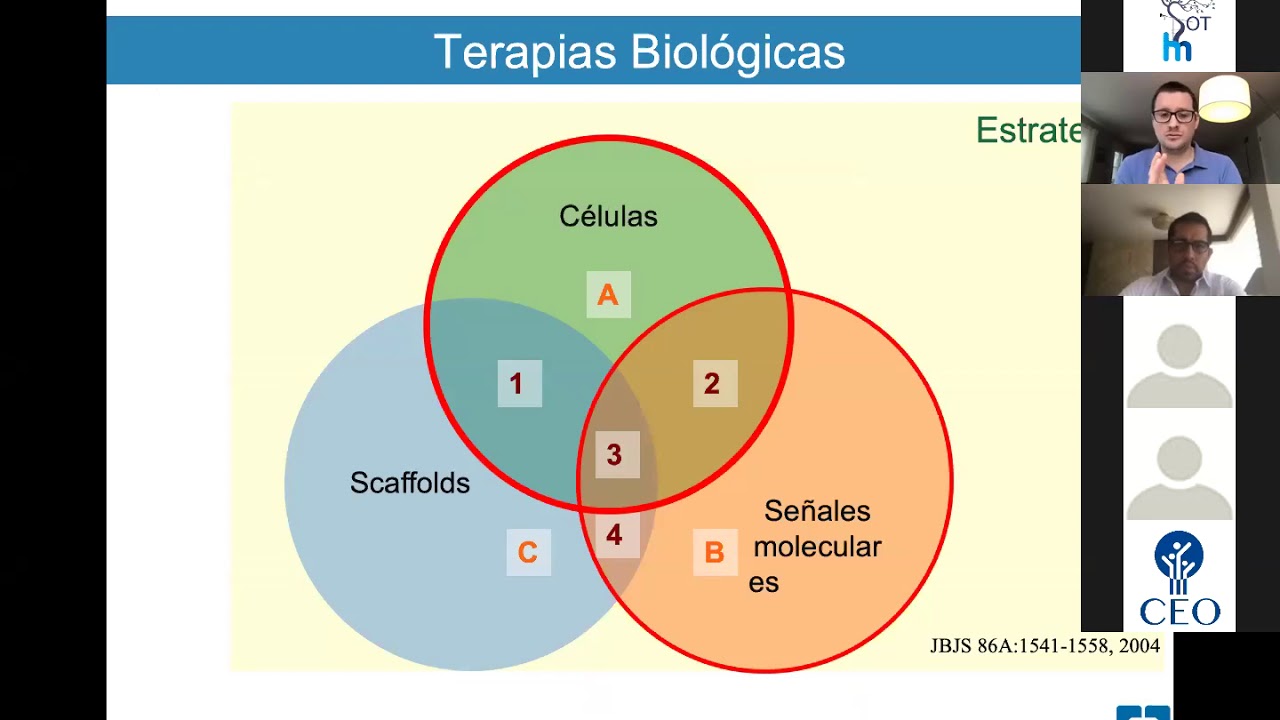 Putar vide
o Indicaciones de las diferentes opciones biologicas en hombro cual es el limite sekarang Indicaciones de las diferentes opciones biologicas en hombro cual es el limite