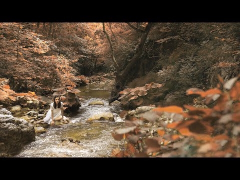 Auditors Domination - Global Conspiracy (Official Music video)