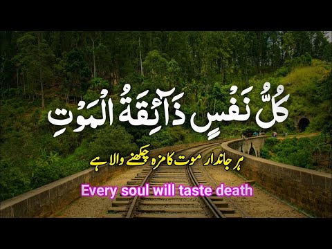 Kullu nafsin zaikatul maut - Beautiful Quran Recitation - By Abdul Rahman Mossad