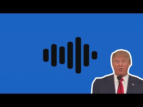 |Donald Trump| We need to build a wall remix