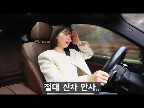 감가로 1억 날리고, 냅다 중고차 삽니다 (래브라도 리트리버..)