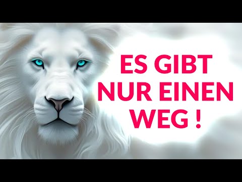 Es gibt nur einen Weg...!