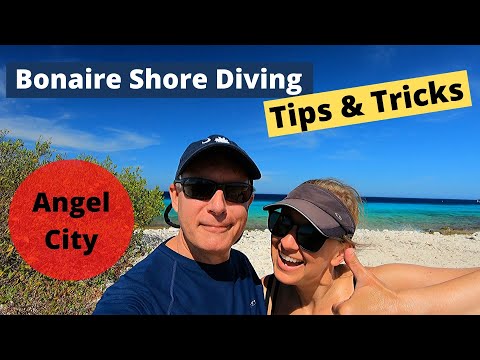Bonaire Shore Diving Tips & Tricks - Angel City