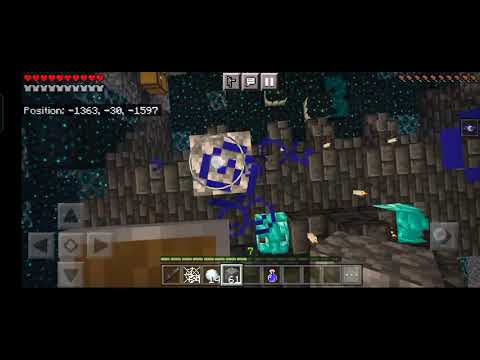 Come sconfiggere il warden [leggete la descrizione]