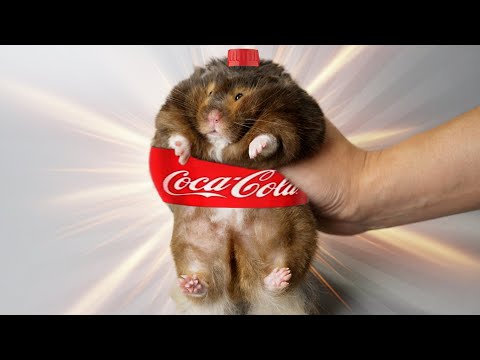 Diet Coke, the World's Biggest Hamster?