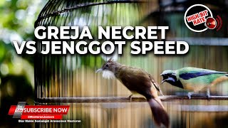 Download lagu 🔴Masteran Greja Necret vs Jenggot Speed Neken Panjang Panjang Materi Cucak Cungkok Muntah Koral mp3 Download lagu 🔴Masteran Greja Necret vs Jenggot Speed Neken Panjang Panjang Materi Cucak Cungkok Muntah Koral mp3