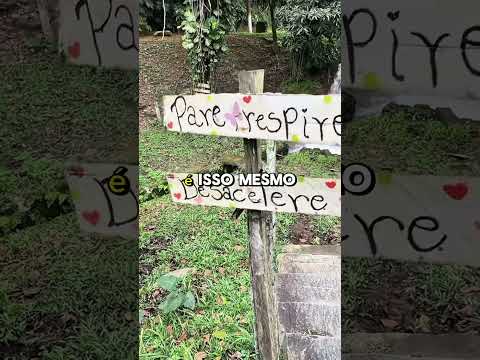 Encontramos esse lugar muito bonito aqui no Rio de Janeiro #viral #curiosidades