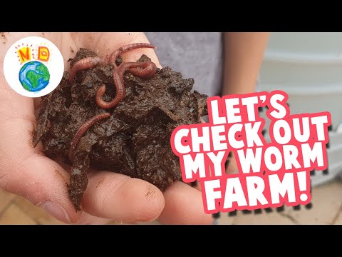 Vermicomposting