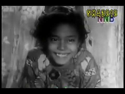 FILEM MELAYU KLASIK AYER MATA (1953 )
