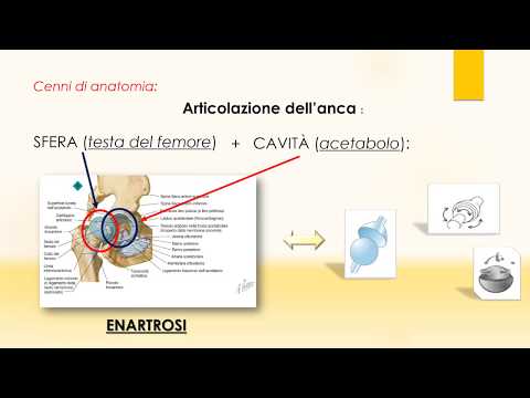 Fa male longissimus dorsi Articolazioni doloranti della mano