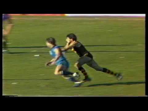 1983 Round 20 Glenelg 20.19 139 d Sturt 16.16 112