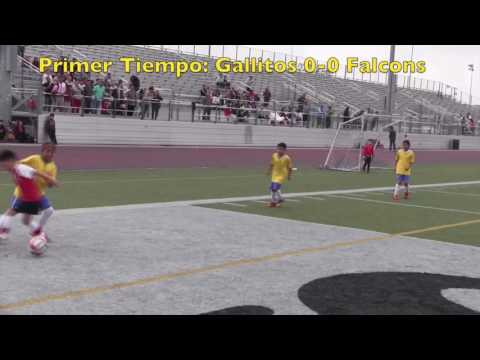 Gallitos FC vs. Falcons Final