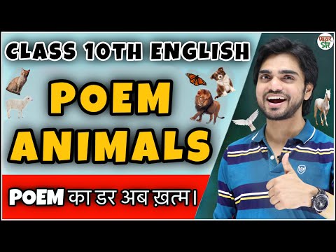 Hindi enimal Mp4 3GP Video & Mp3 Download unlimited Videos Download - Hindi enimal Mp4 3GP Video & Mp3 Download unlimited Videos Download -