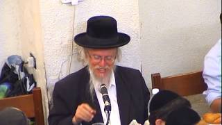 התוועדות חג הגאולה יב יג תמוז חלק א הרב דייטש שנת תשעד
