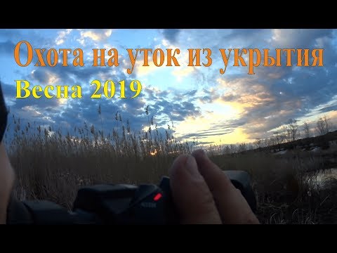 Охота на уток из укрытия - Весна 2019