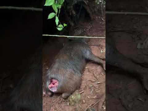 3 de novembro de 2025