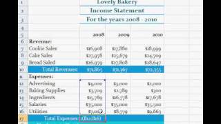 Finding The Total Expenses, Total Revenue And Net Income (Loss) In Excel