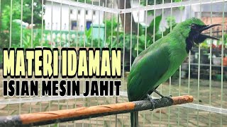 Download lagu MATERI MEWAH!!! Ijo Gacor Ngentrok Full Tembakan Kasar, Ampuh Untuk Melatih Cucak Ijo Gacor mp3 Download lagu MATERI MEWAH!!! Ijo Gacor Ngentrok Full Tembakan Kasar, Ampuh Untuk Melatih Cucak Ijo Gacor mp3