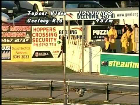 Cool Effort's First Win | Geelong 26.08 | 17.11.06