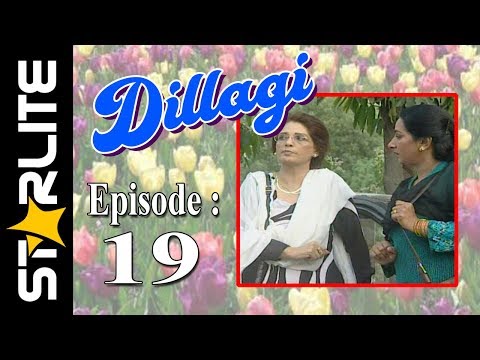 Dillagi, Episode 19, Top Pakistani Drama, URDU Comedy, Drama Serial Kashif Mehmood, Naseem Vicky