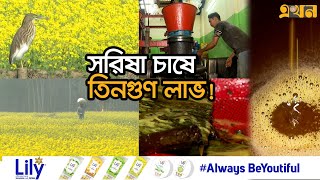 সরিষায় ছেয়ে গেছে রংপুর বিভাগের মাঠ-ঘাট