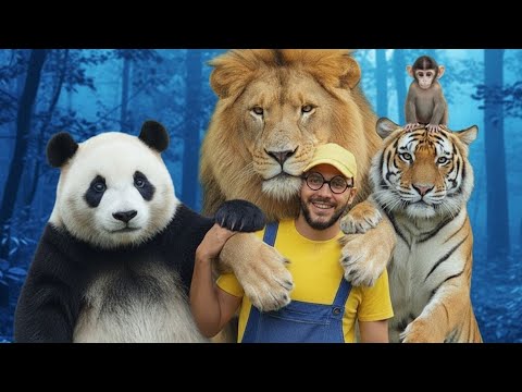 Animale Salbatice - Invatam Animalele cu Tibiti - Video educativ