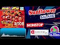 Sunflower Salade Nonstop Popular Music Bands In The 1990 S2000s Musicband Nonstopmusic
