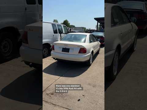 Super Clean, almost impossible to find 1996 Audi A4 2.8 shows up at the junkyard #audi #audia4