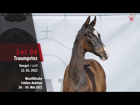 Fohlen-Auktion 26. - 30. Mai Lot 06 Traumprinz Hengst v. Taurus - Rock Amour